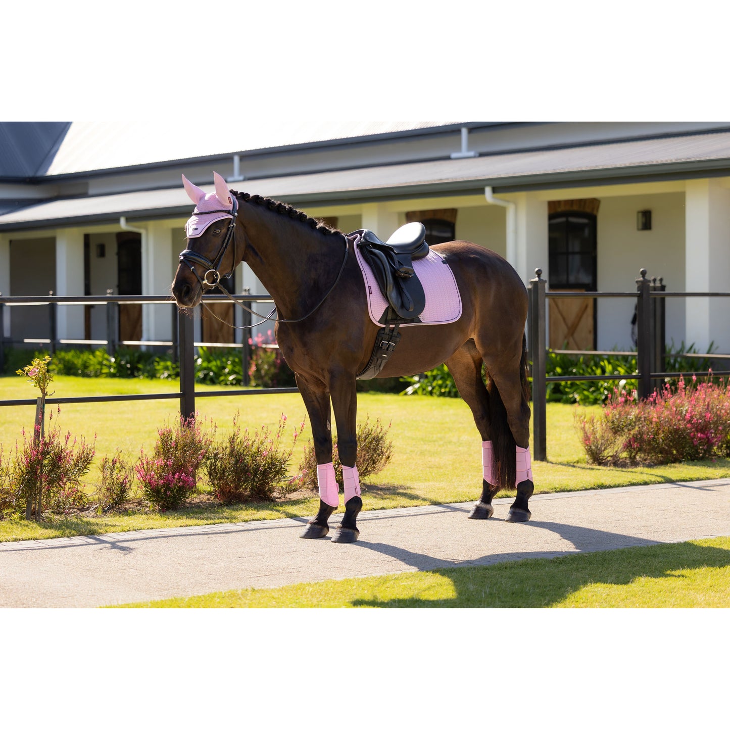 LeMieux Essence Dressurschabracke - Kaster Cheval