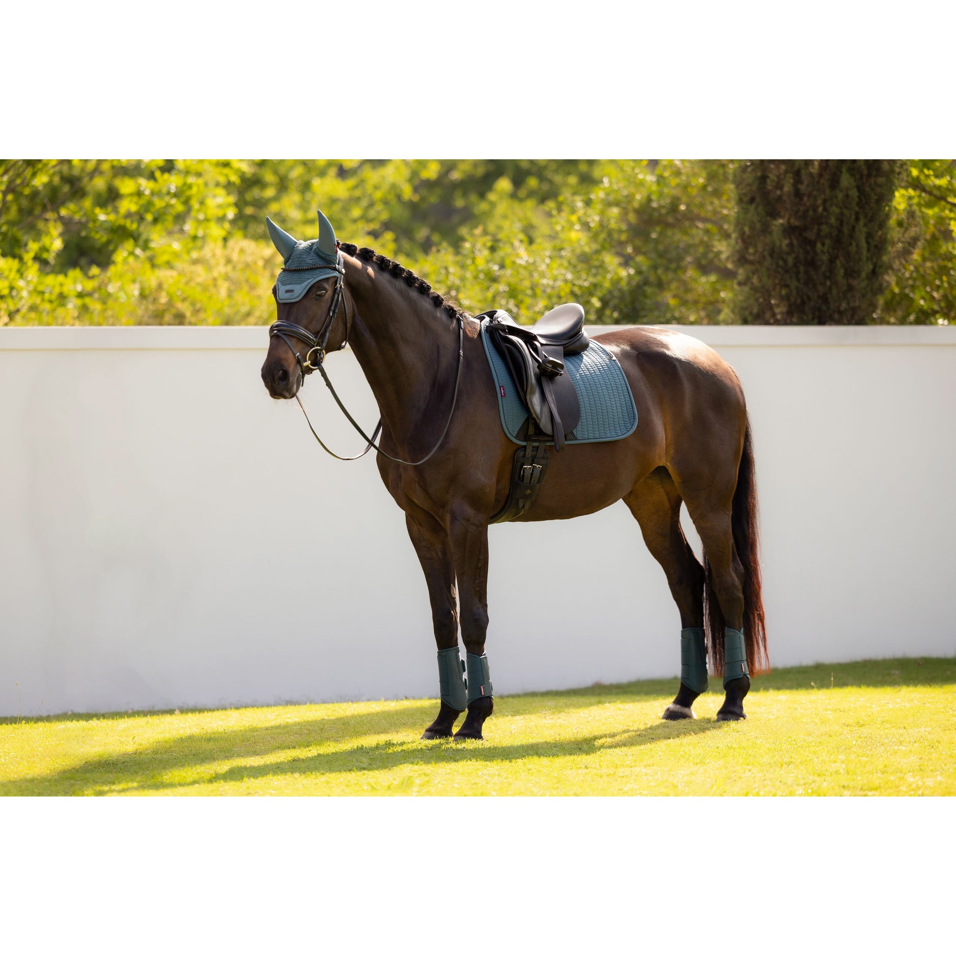 LeMieux Essence Dressurschabracke - Kaster Cheval