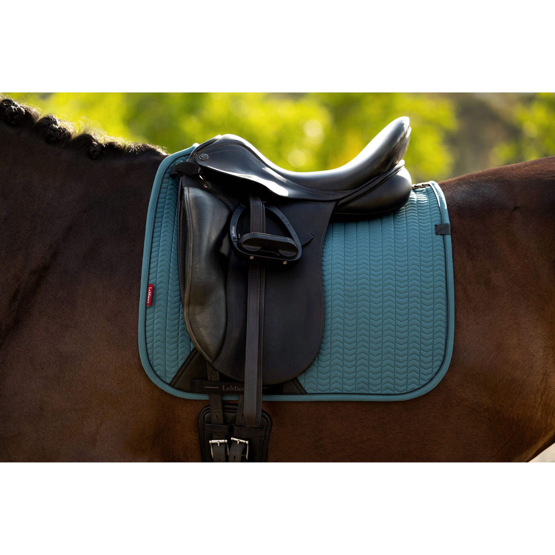 LeMieux Essence Dressurschabracke - Kaster Cheval