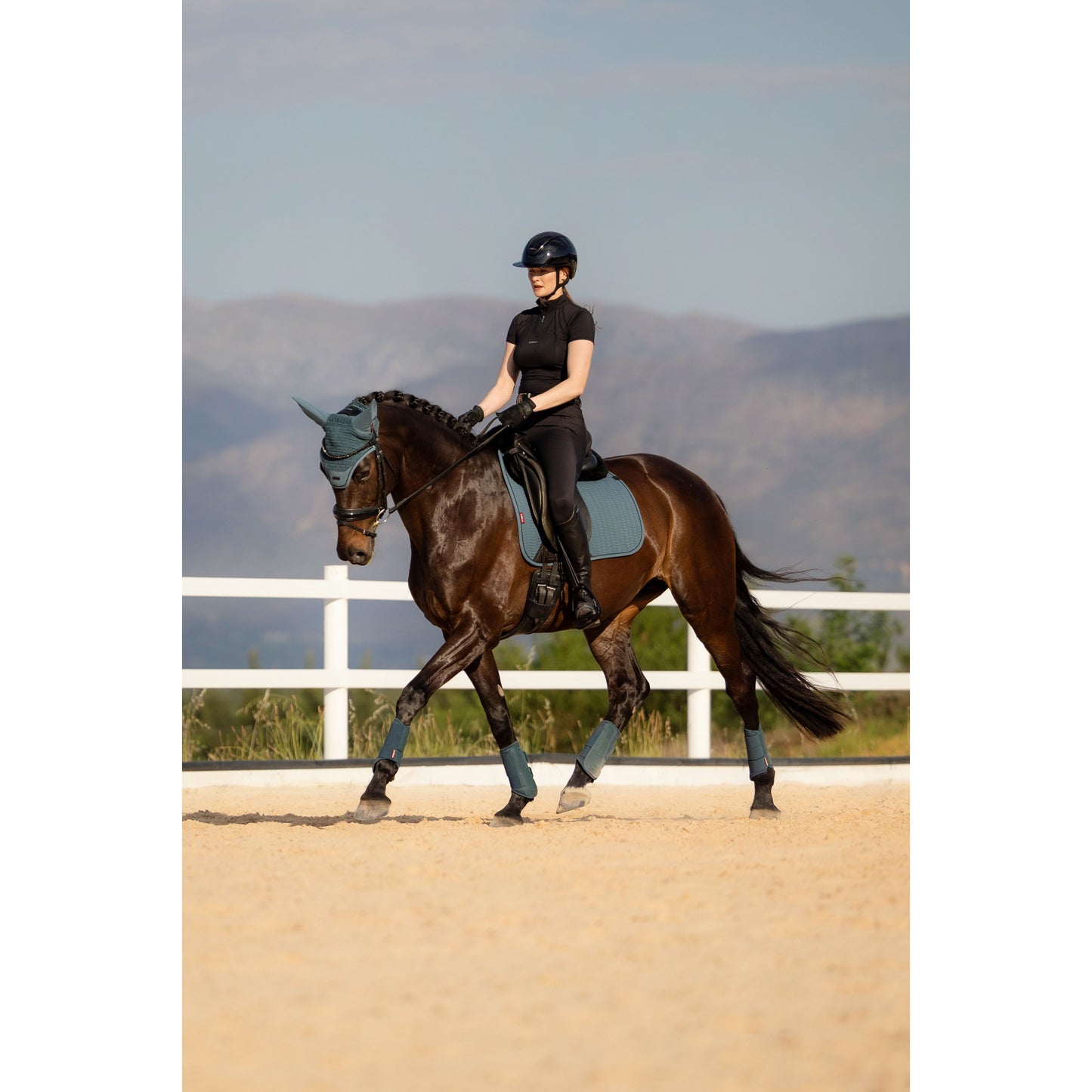 LeMieux Essence Dressurschabracke - Kaster Cheval