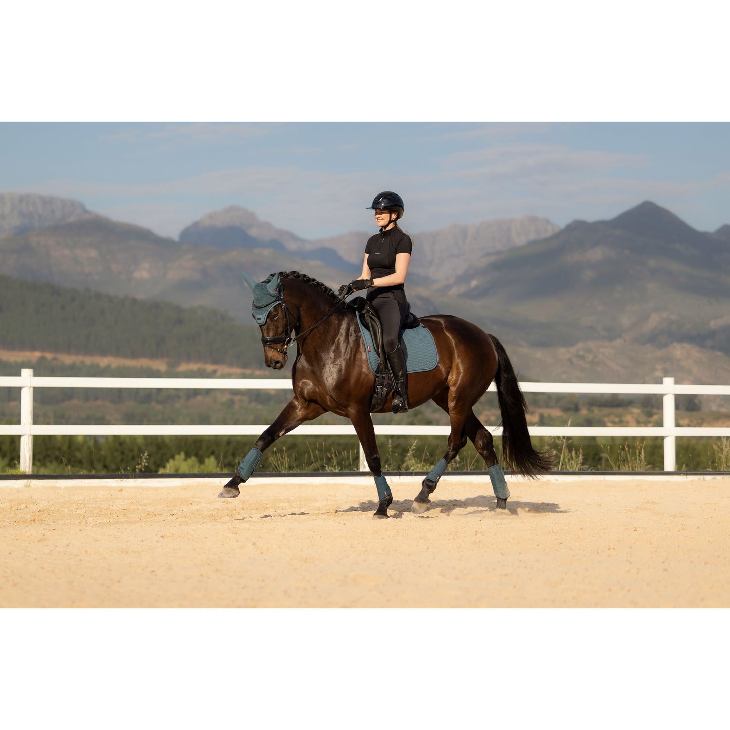 LeMieux Essence Dressurschabracke - Kaster Cheval