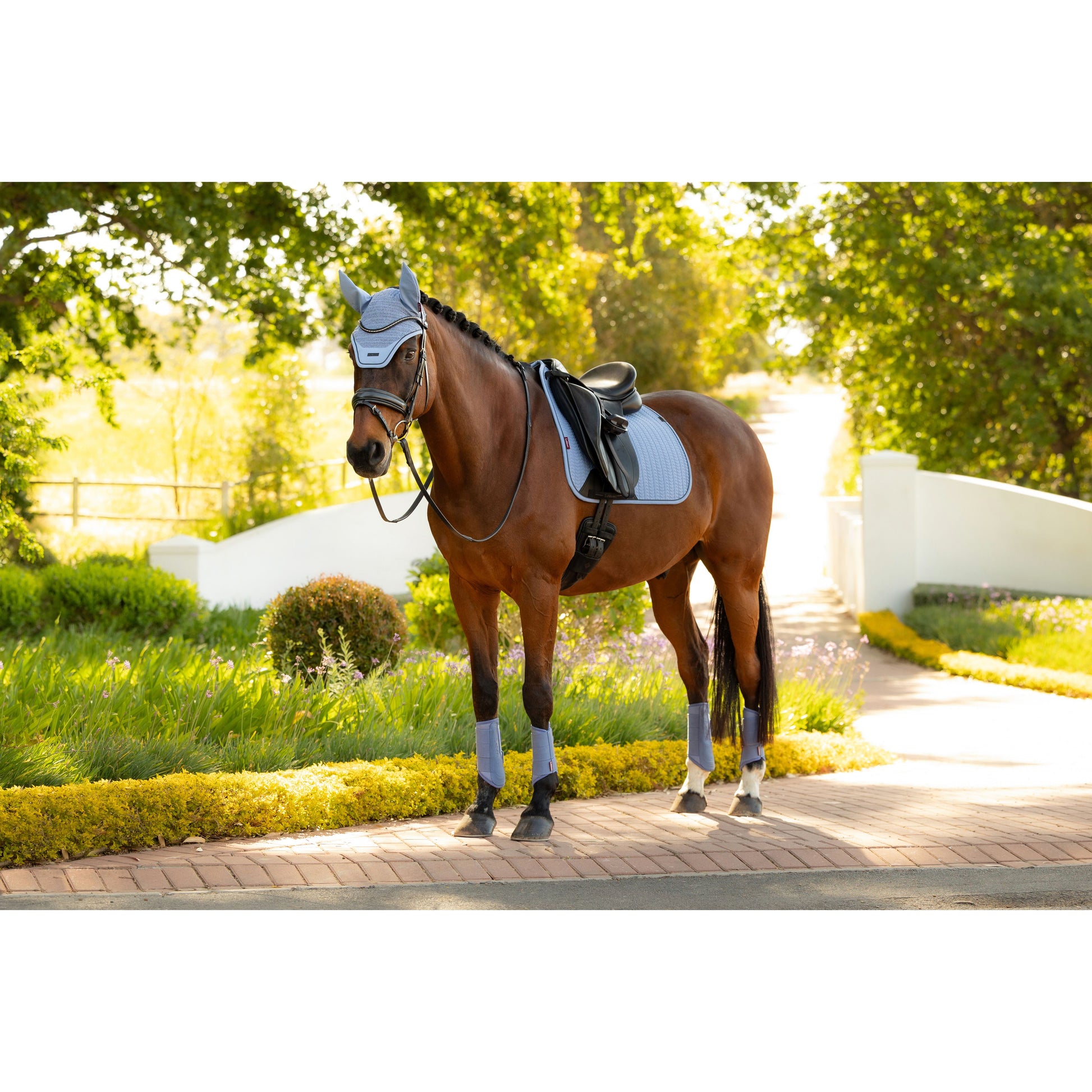 LeMieux Essence Dressurschabracke - Kaster Cheval