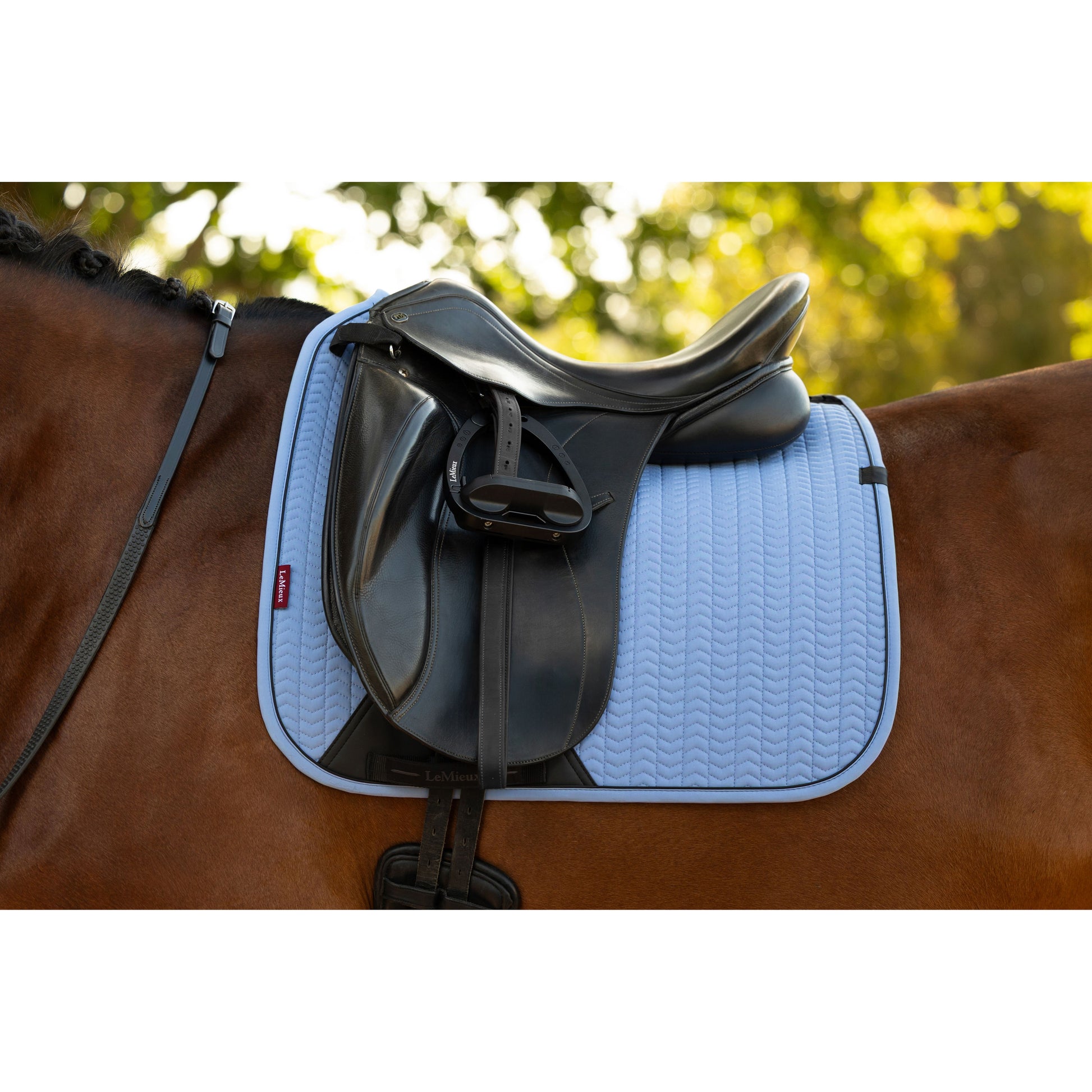 LeMieux Essence Dressurschabracke - Kaster Cheval