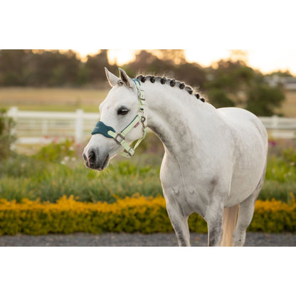 LeMieux Mini Vogue Halfter und Führstrick - Kaster Cheval