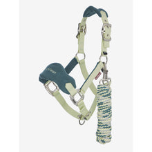 LeMieux Mini Vogue Halfter und Führstrick - Kaster Cheval