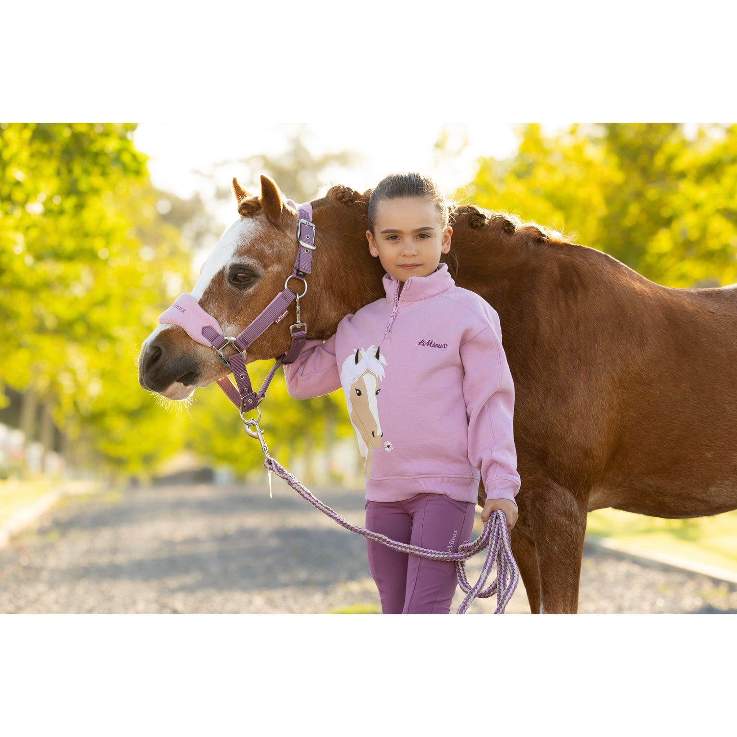LeMieux Mini Vogue Halfter und Führstrick - Kaster Cheval