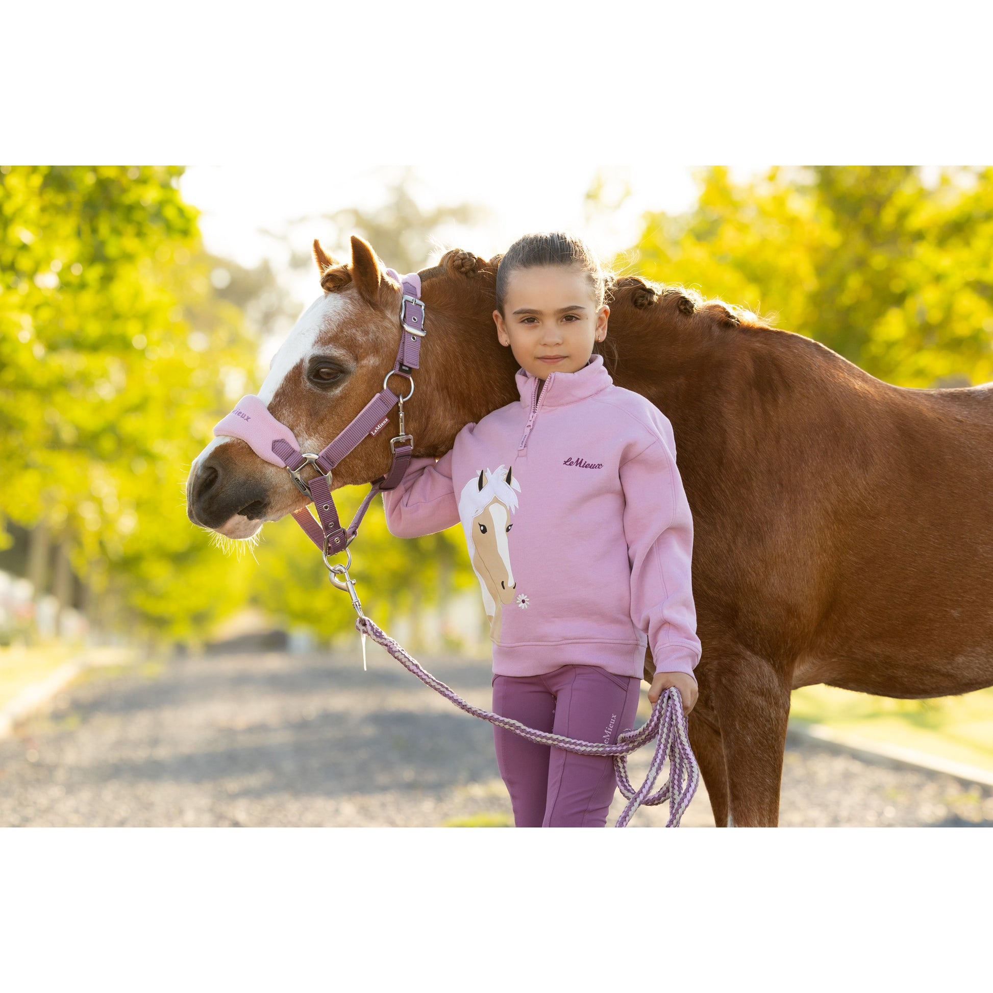 LeMieux Mini Vogue Halfter und Führstrick - Kaster Cheval