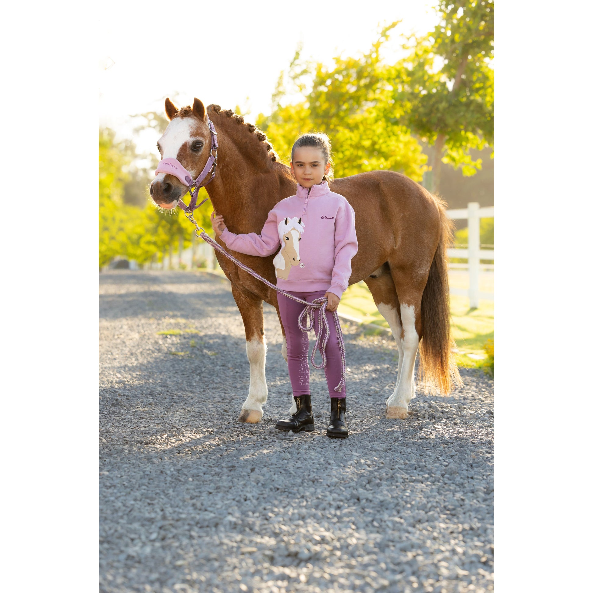 LeMieux Mini Vogue Halfter und Führstrick - Kaster Cheval