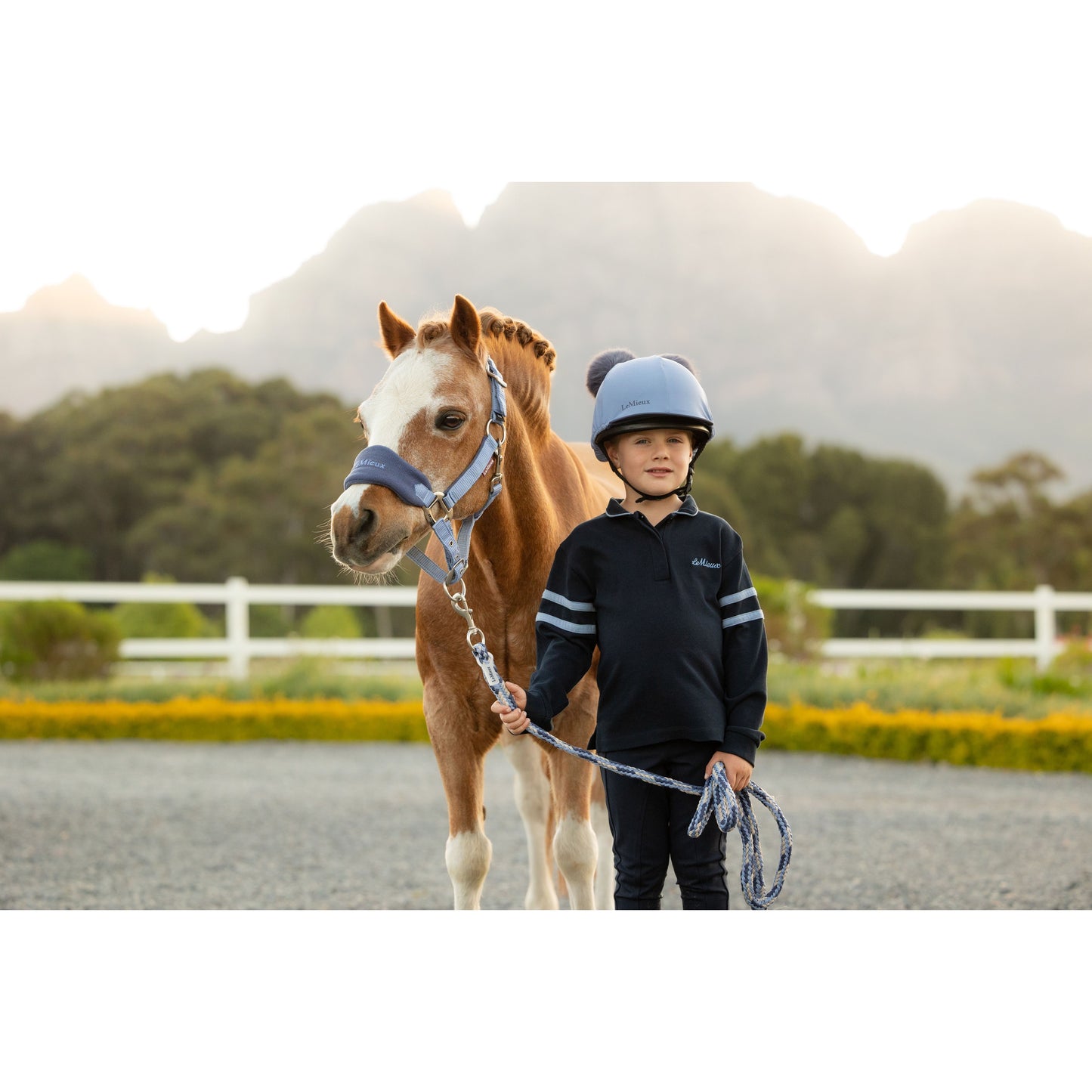 LeMieux Mini Vogue Halfter und Führstrick - Kaster Cheval