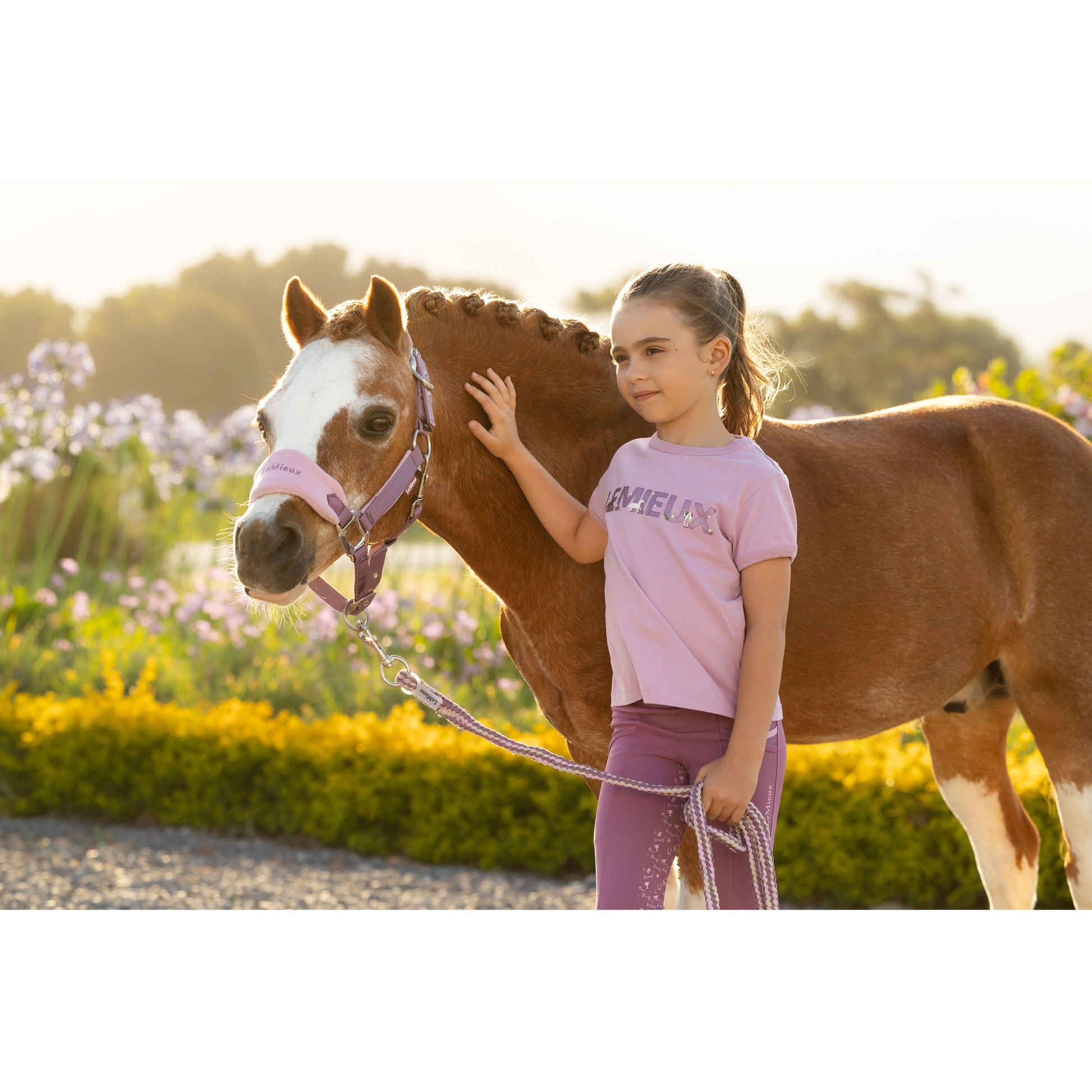 LeMieux Mini Vogue Halfter und Führstrick - Kaster Cheval
