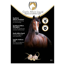 Excellent Horse Garlic Allicin Liquid 1 l