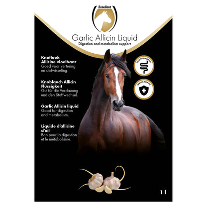 Excellent Horse Garlic Allicin Liquid 1 l