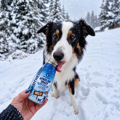 Smoothidog Hundesmoothie Limitierte Winter Edition - Après Ski Snack