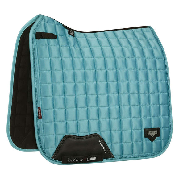 Le Mieux Loire Dressage L AZURE