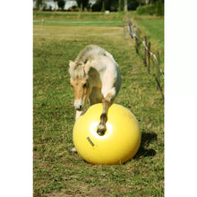 Excellent Horse Maximus Power Play Ball