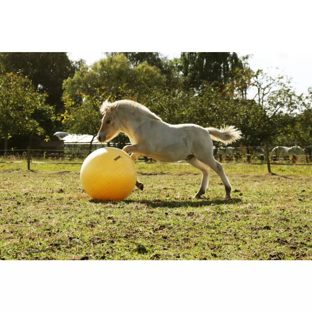 Excellent Horse Maximus Power Play Ball