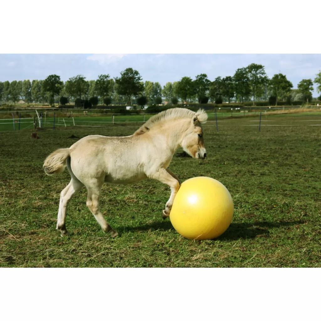 Excellent Horse Maximus Power Play Ball