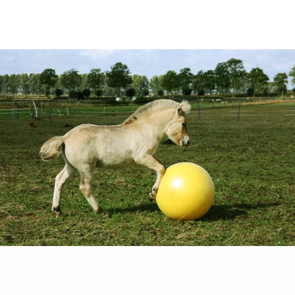 Excellent Horse Maximus Power Play Ball