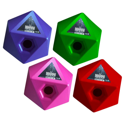 Excellent Horse Maximus Feed & Play
