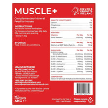 Muscle +