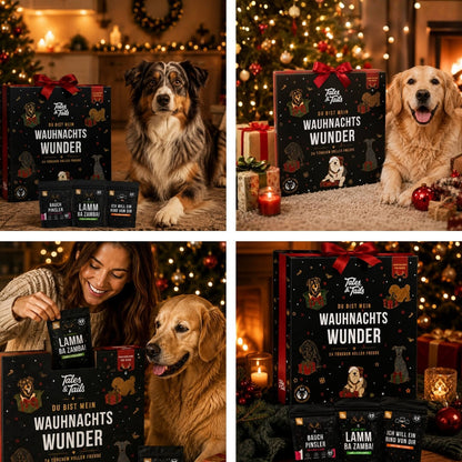 Tales & Tales Wauhnachts-Wunder - Adventskalender