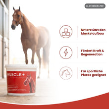 Equine Products Ireland Muscle +