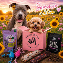 🐶 Sommer Mystery Box Hund ☀️