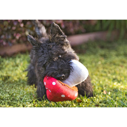 P.L.A.Y. Blooming Buddies Mutt’S Pilz-Spielzeug