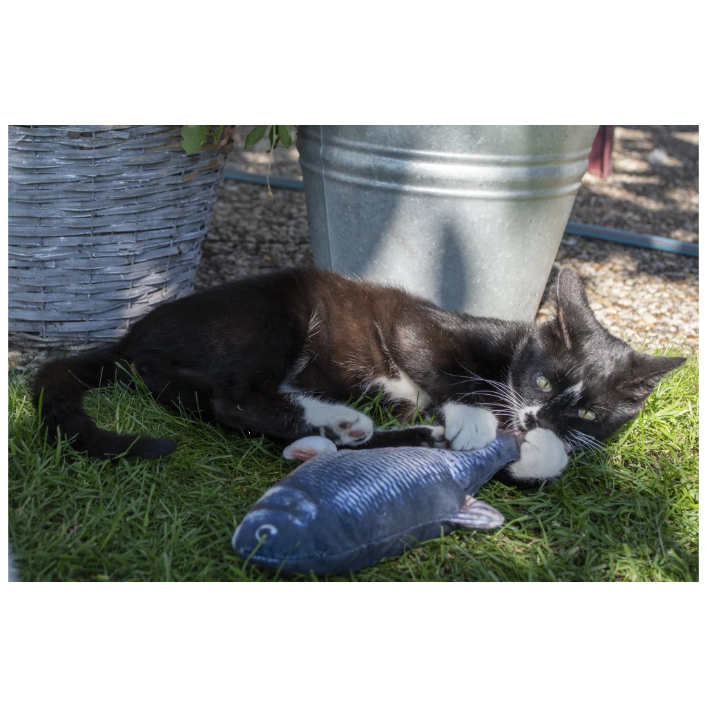 Robocat Fish Goldfisch