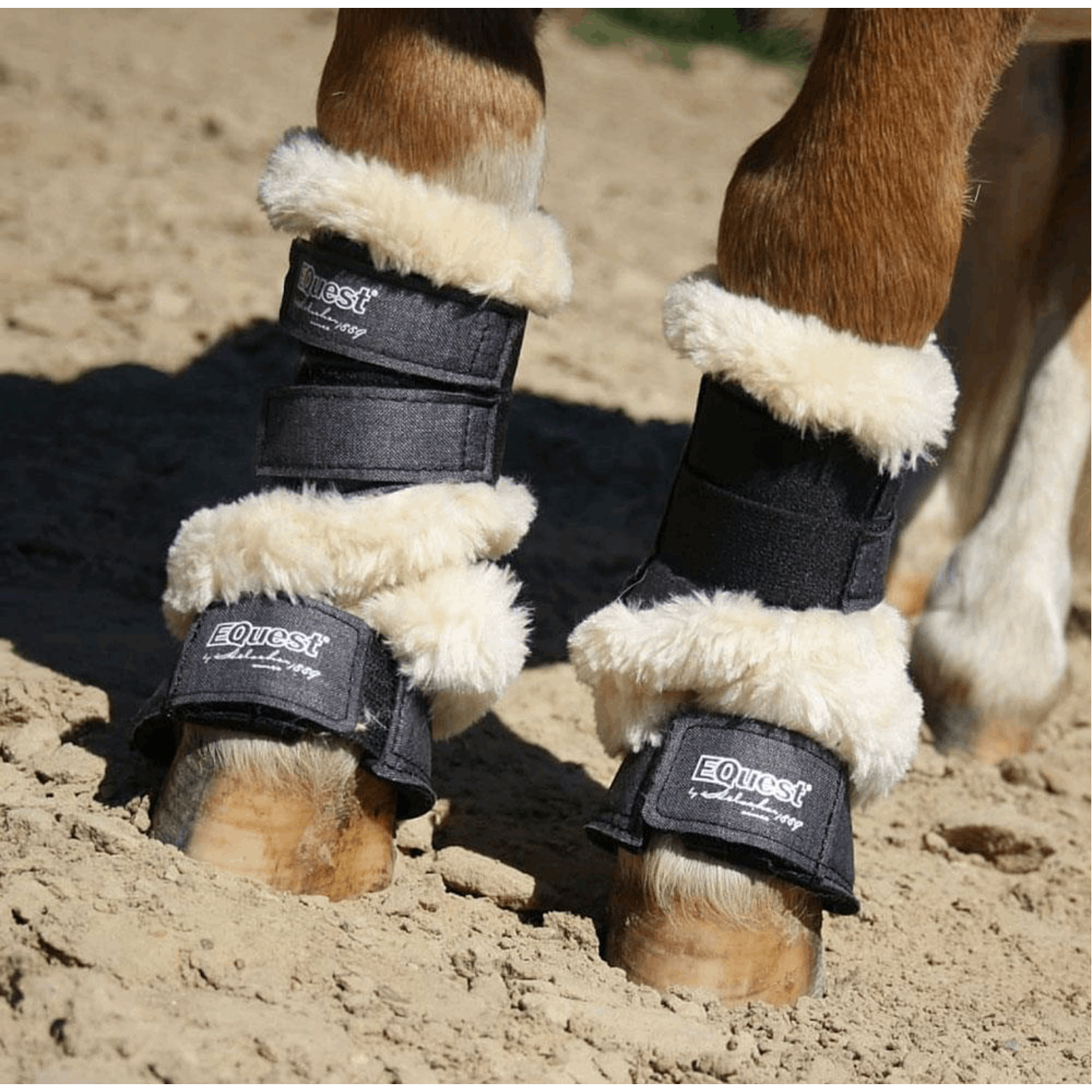 Gamasche Melange Shetty