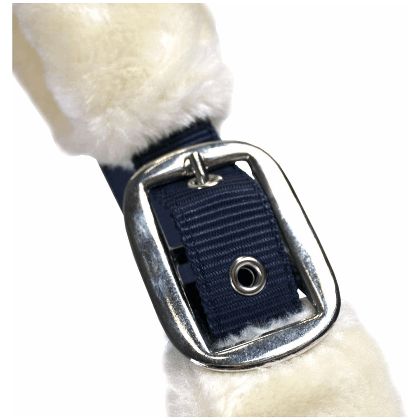 Halfter Comfort | Nickel Finish