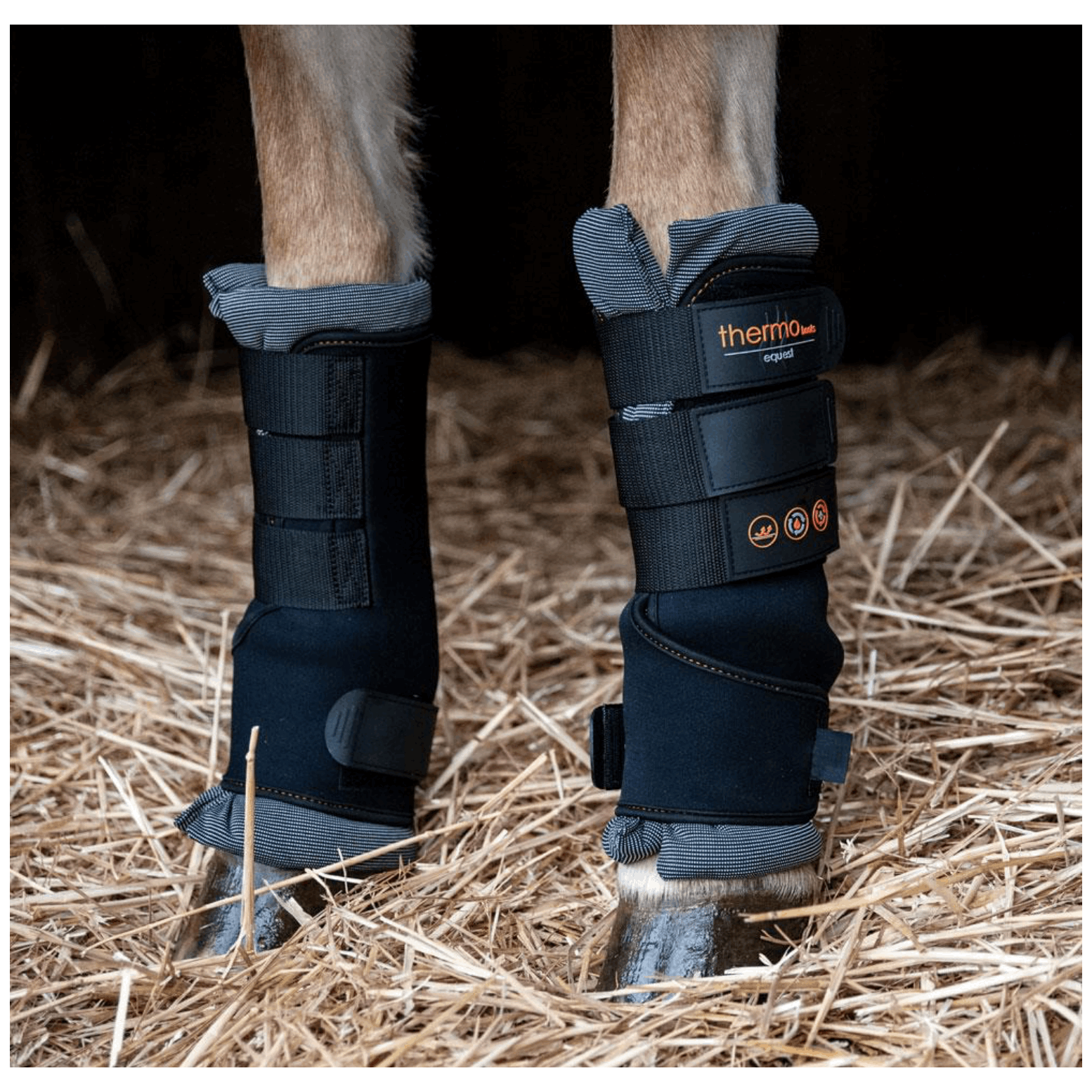 Thermo Boots | 2er Set