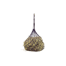 Dark Olive Green EQuest Heunetz