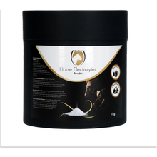 Excellent Horse Electrolyt Pulver