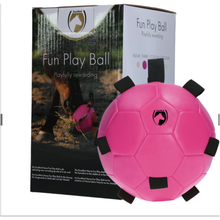 Excellent Horse Fun Play Ball