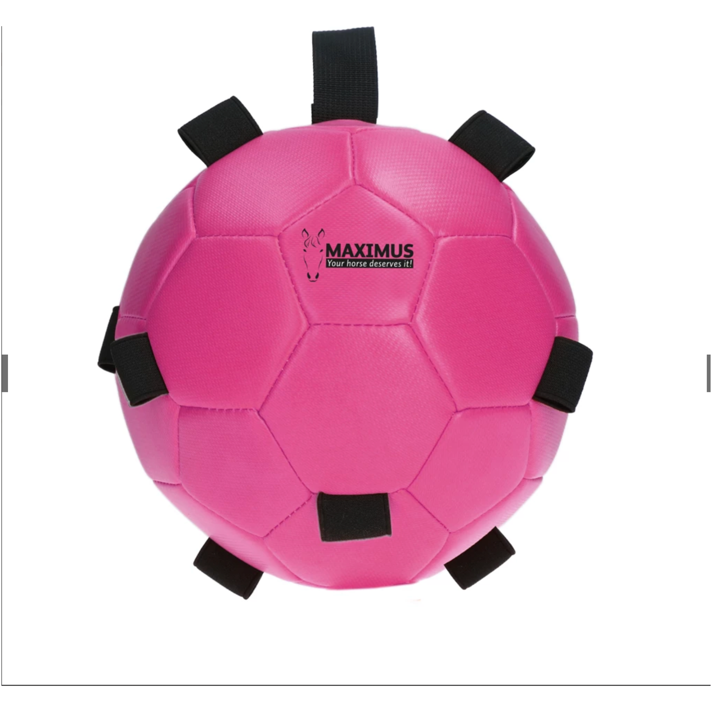 Pale Violet Red Excellent Horse Fun Play Ball