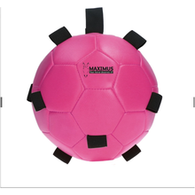 Excellent Horse Fun Play Ball