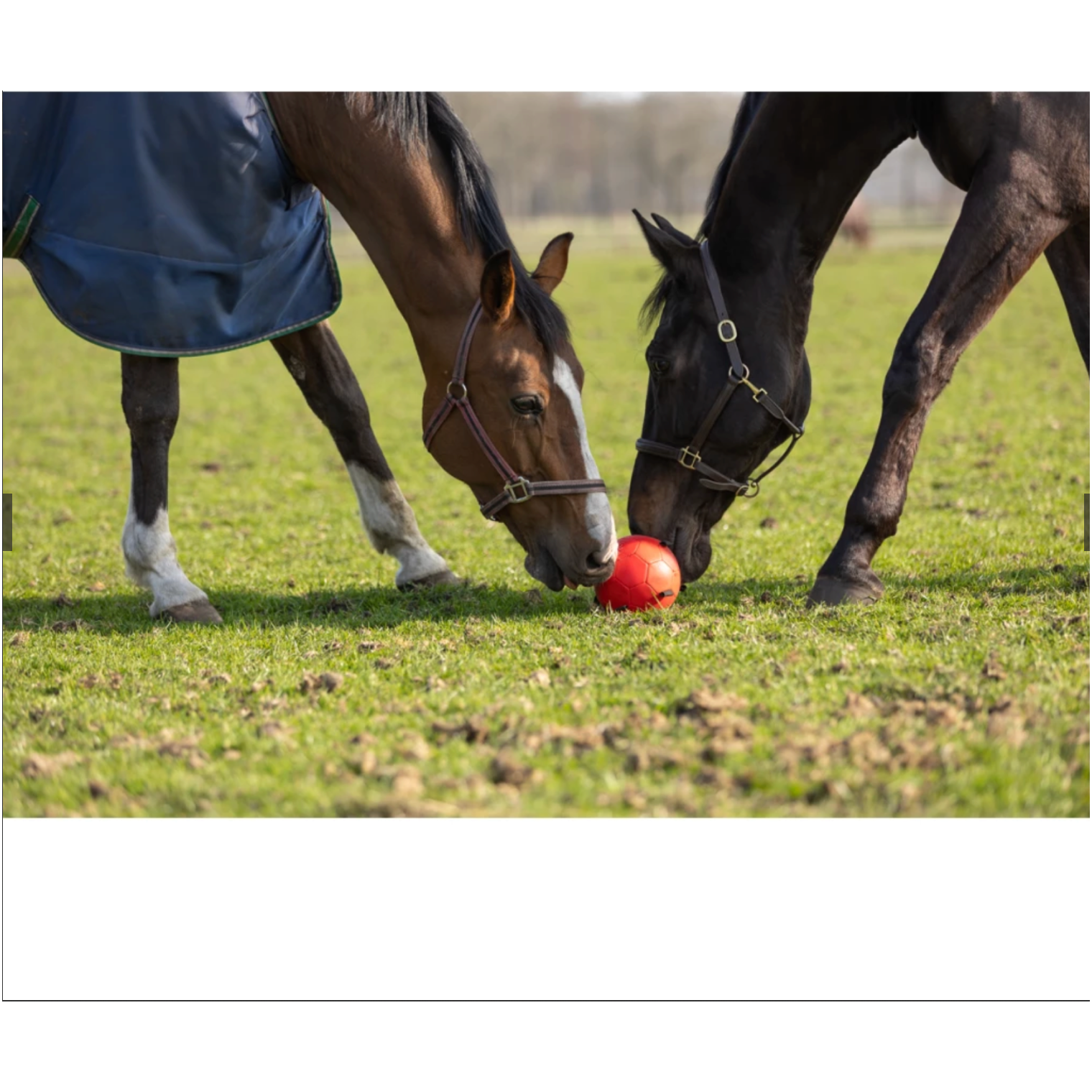 Dark Khaki Excellent Horse Fun Play Ball