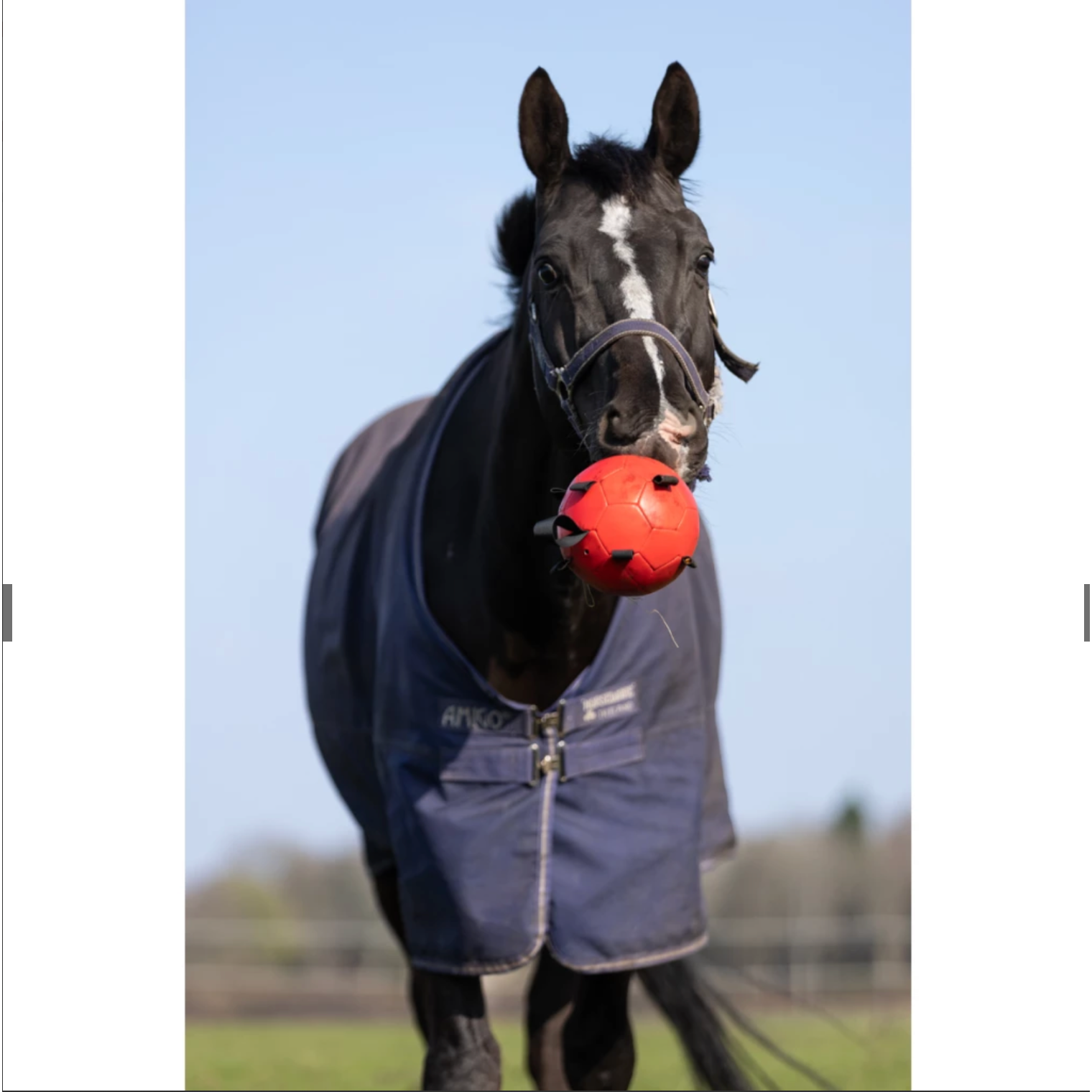 Light Blue Excellent Horse Fun Play Ball