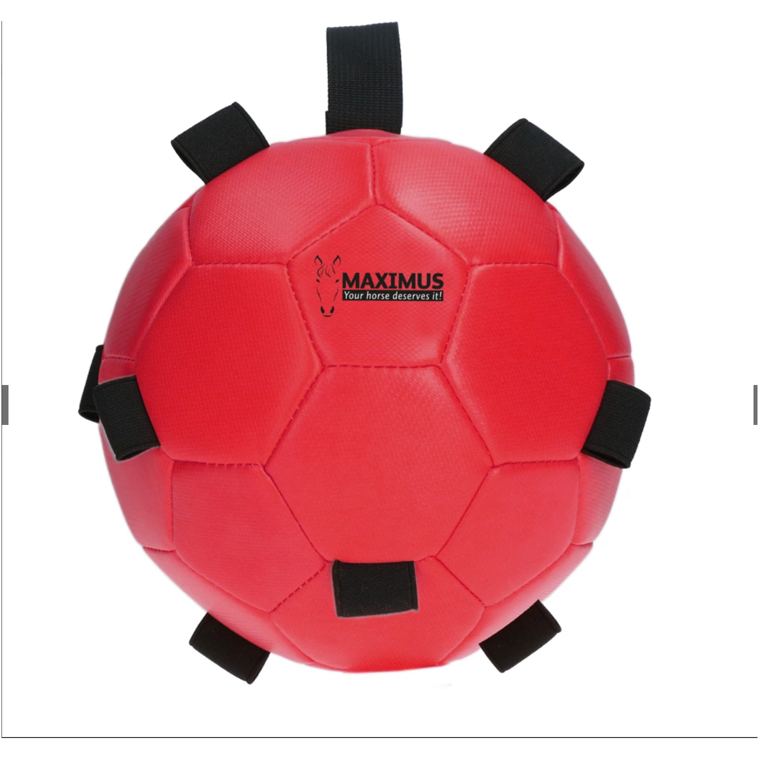 Maroon Excellent Horse Fun Play Ball