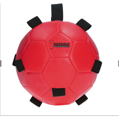 Maroon Excellent Horse Fun Play Ball