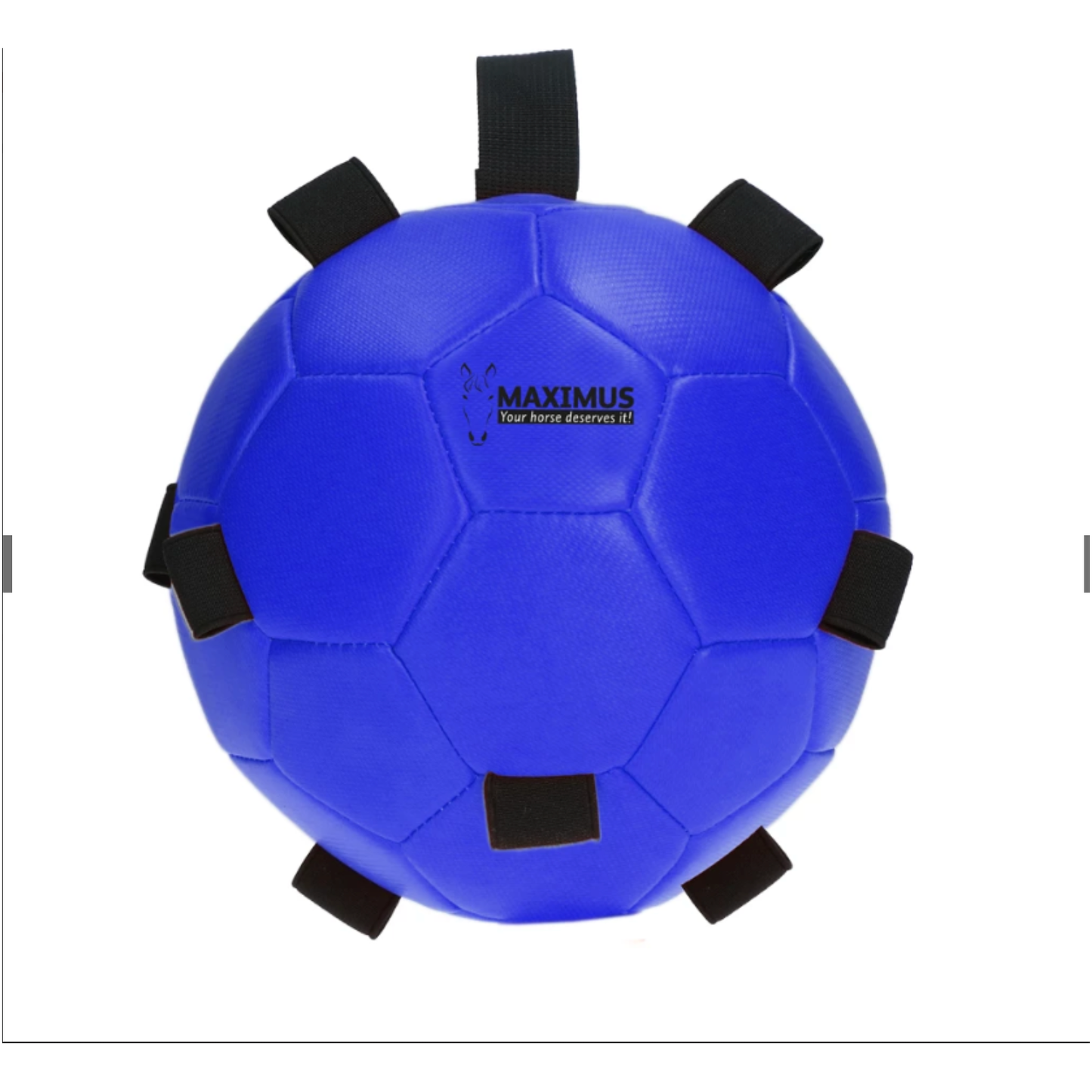 Royal Blue Excellent Horse Fun Play Ball