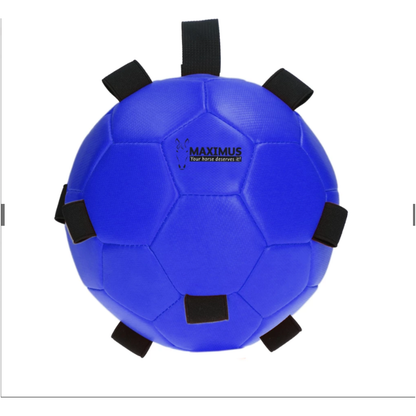 Royal Blue Excellent Horse Fun Play Ball