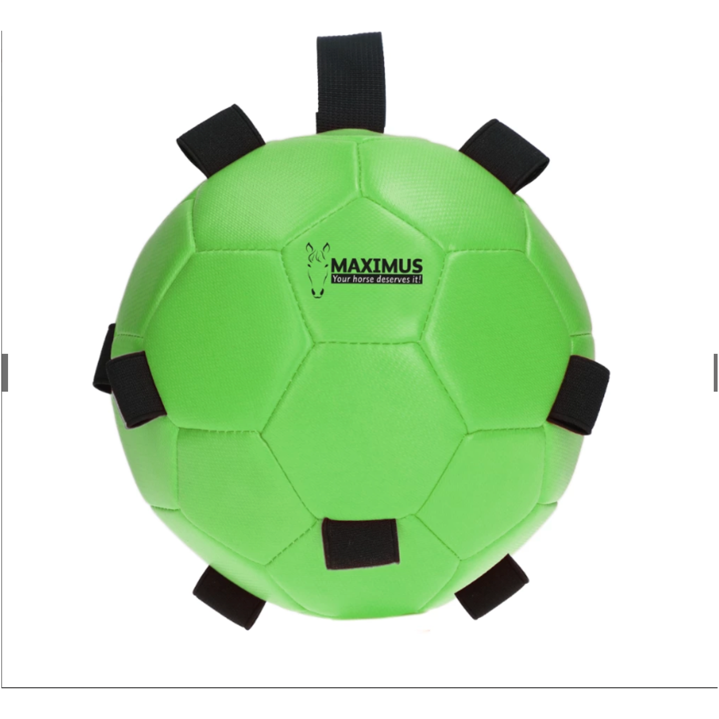 Dark Sea Green Excellent Horse Fun Play Ball