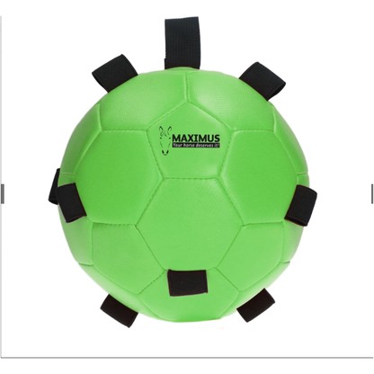 Dark Sea Green Excellent Horse Fun Play Ball