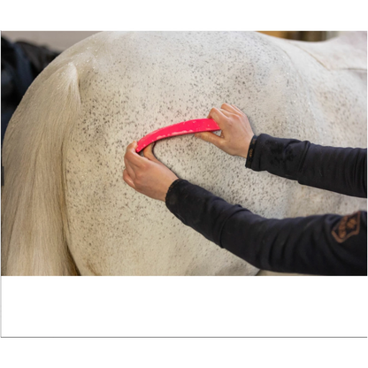 Excellent Horse Grooming Brush