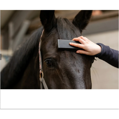 Excellent Horse Grooming Brush