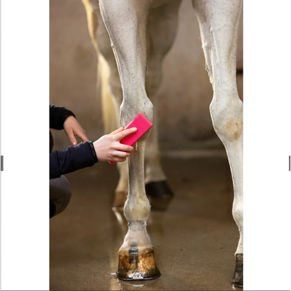 Excellent Horse Grooming Brush