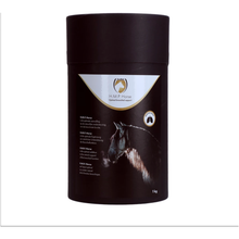 Excellent Horse H.M.P. Powder 1 kg