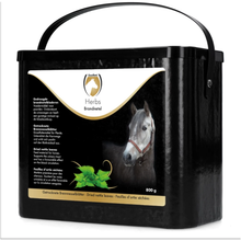 Excellent Horse Herbs Brennnessel 800 g